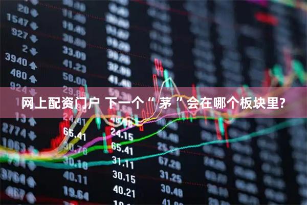 网上配资门户 下一个“ 茅 ”会在哪个板块里?